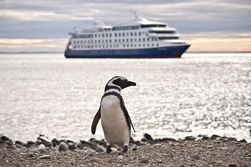 Medio Ambiente de Australis. SoloCruceros.mx