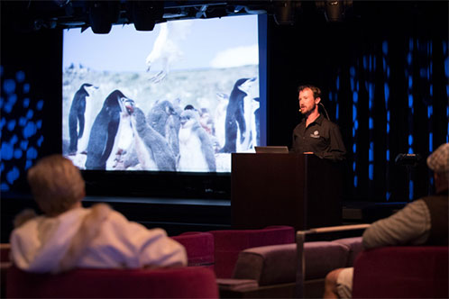 BBC Earth Experiences de Holland. SoloCruceros.mx