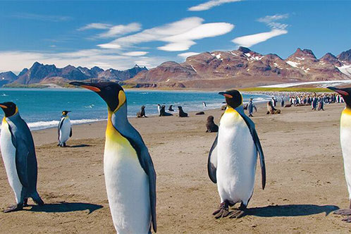 Itinerarios galardonados con Oceania. SoloCruceros.mx