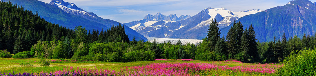 Alaska y sus paisajes únicos. SoloCruceros.mx