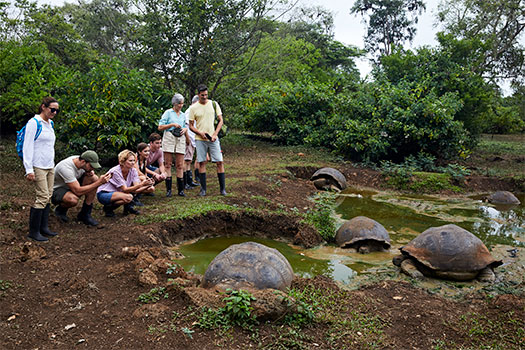 Rancho de tortugas en Bahía Tortuga. SoloCruceros.mx
