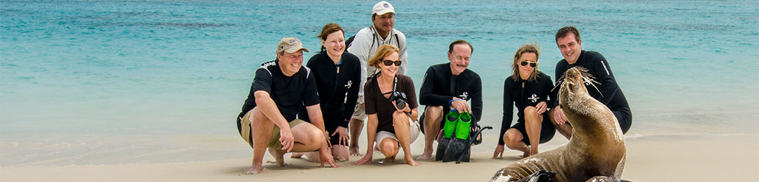 Leones marinos en la isla San Cristóbal. SoloCruceros.mx