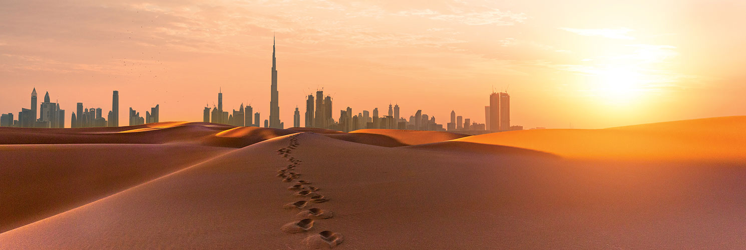 Cruceros noviembre 2025. SoloCruceros.com