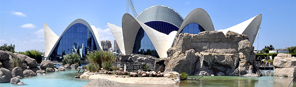 Oceanogràfic de Valencia. SoloCruceros.mx